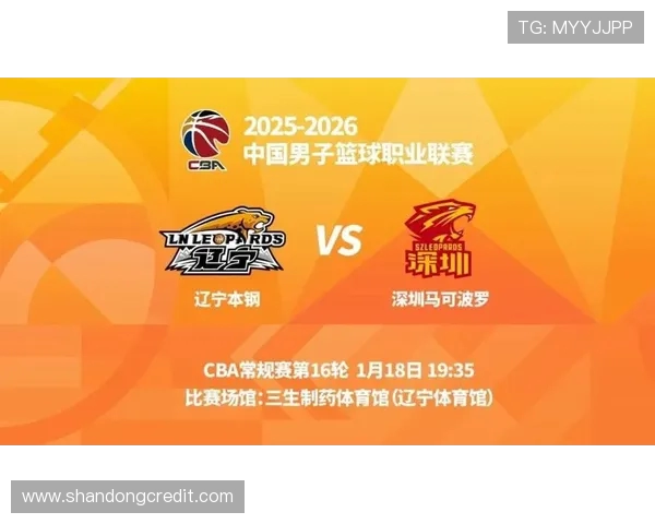辽宁对阵深圳精彩比赛视频下载分享与分析