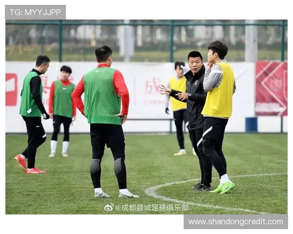 成都飞盘队防守表现分析：优缺点及改进建议探讨